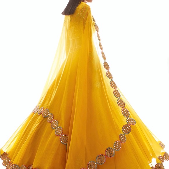Vvani Vats Mustard Embroidered Lehenga - Picture 3 of 5